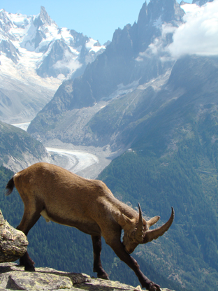 laurentbesancon photo Mt Blanc